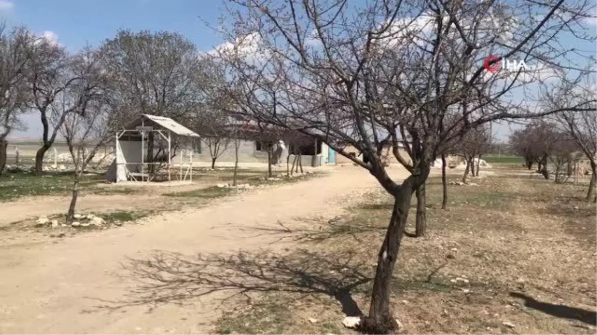 Annesinin öldürdüğü 3 yaşındaki çocuğun babası ve kardeşlerinden mezarına ziyaret