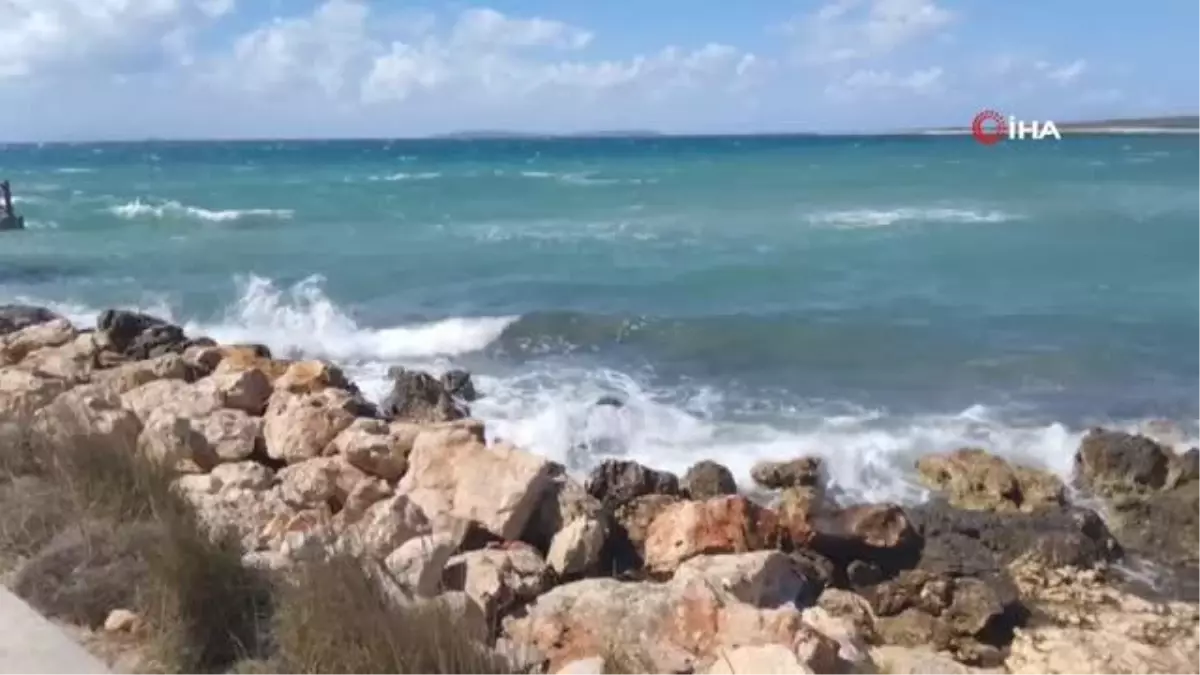 Didim Sahili\'nde kıyıya vurmuş ceset bulundu