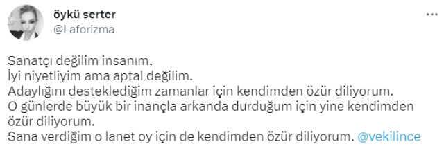 Muharrem İnce'ye bir sert tepki de Öykü Serter'den geldi: Sizinle de hesaplaşıp sonsuza dek unutacağız