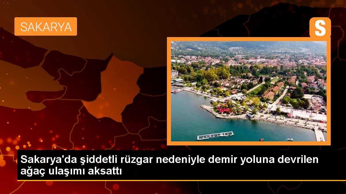 Sakarya\'da şiddetli rüzgar nedeniyle demir yoluna devrilen ağaç ulaşımı aksattı