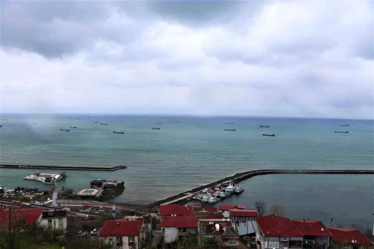 50\'ye yakın gemi Samsun açıklarında sıra bekliyor