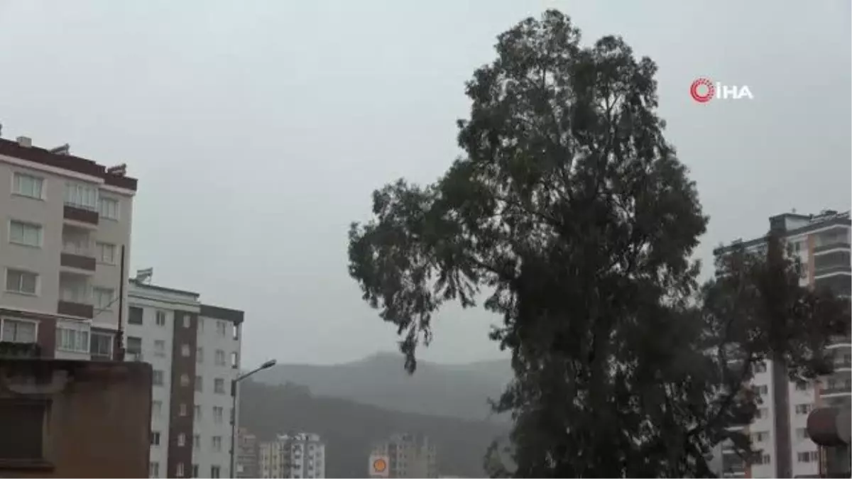 Aşırı rüzgar Kozan\'da ağaçları devirdi