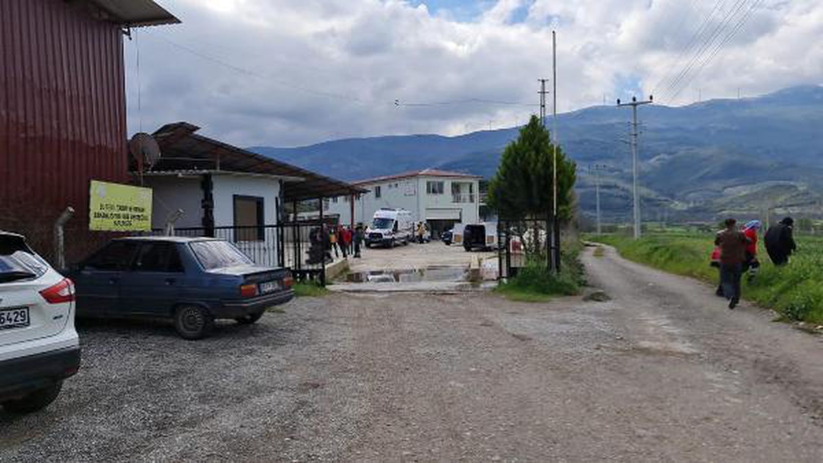 Çiftlikte yem karma makinesine düşüp öldü