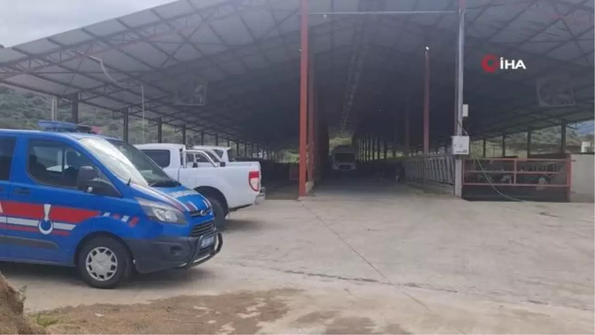 Helikopter tarlaya indi, doktorlar 2 saat mücadele etse de işçi kurtarılamadı