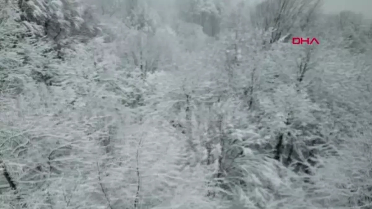 KOCAELİ VE SAKARYA\'DA KAR YAĞIŞI ETKİLİ OLDU, YÜKSEK KESİMLER BEYAZA BÜRÜNDÜ