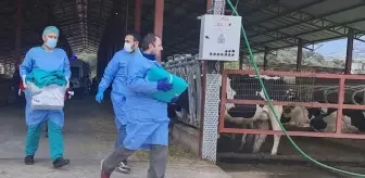 Dehşet veren olay! Yem karma makinesine düşen işçi feci şekilde can verdi