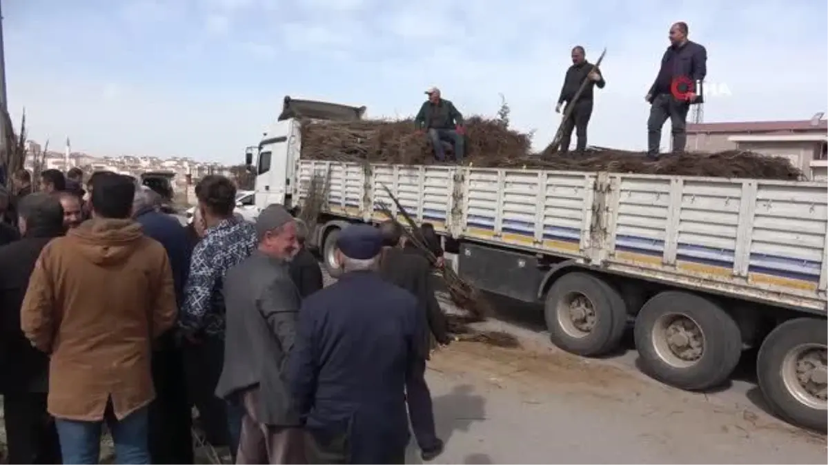Van\'da 31 bin adet meyve fidanı dağıtıldı