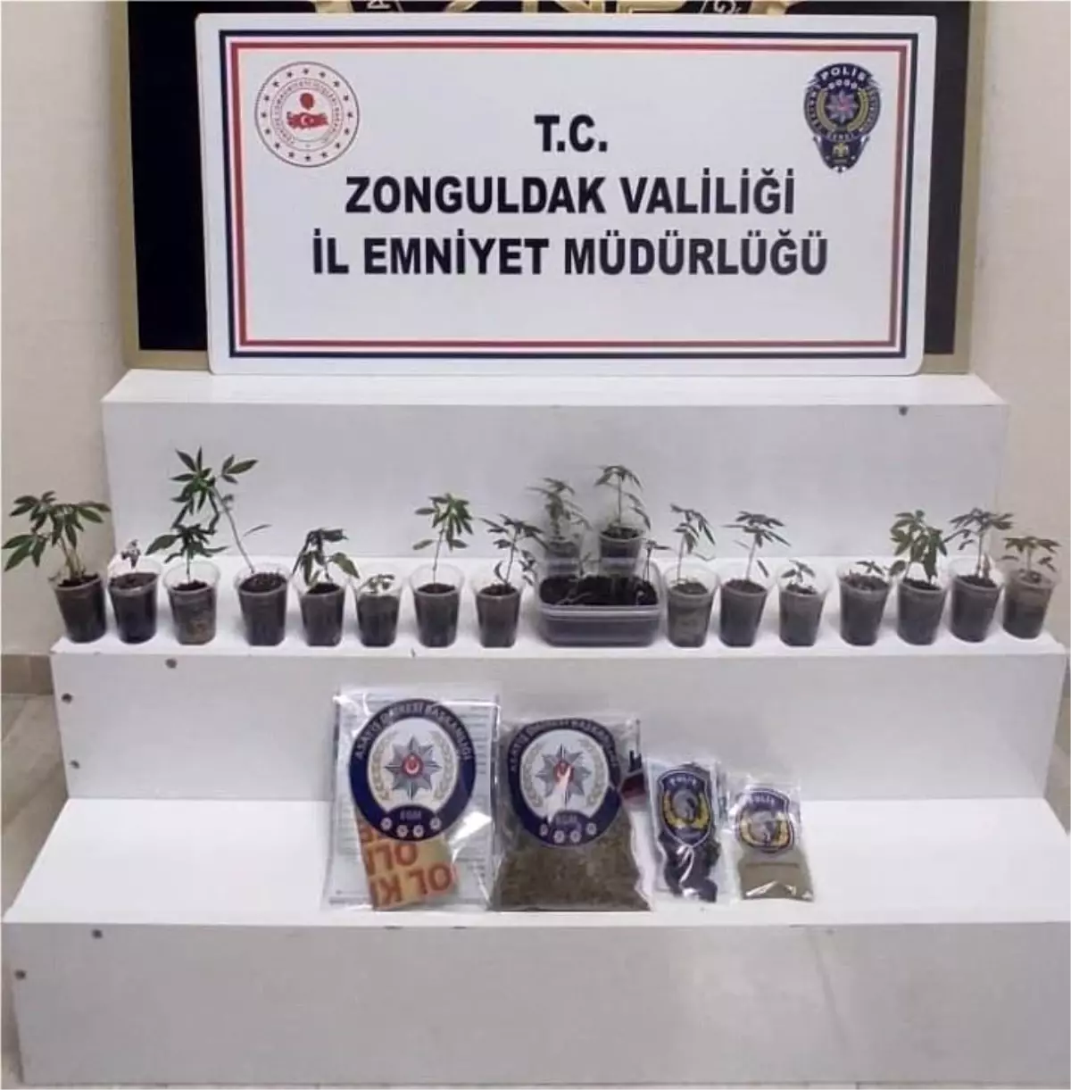 Zonguldak\'ta uyuşturucu operasyonu: 1 gözaltı