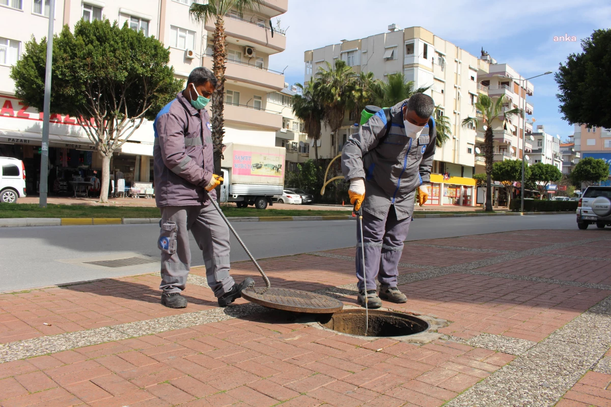 Antalya Büyükşehir Belediyesi sinek ve haşerelere karşı ilaçlama yapıyor