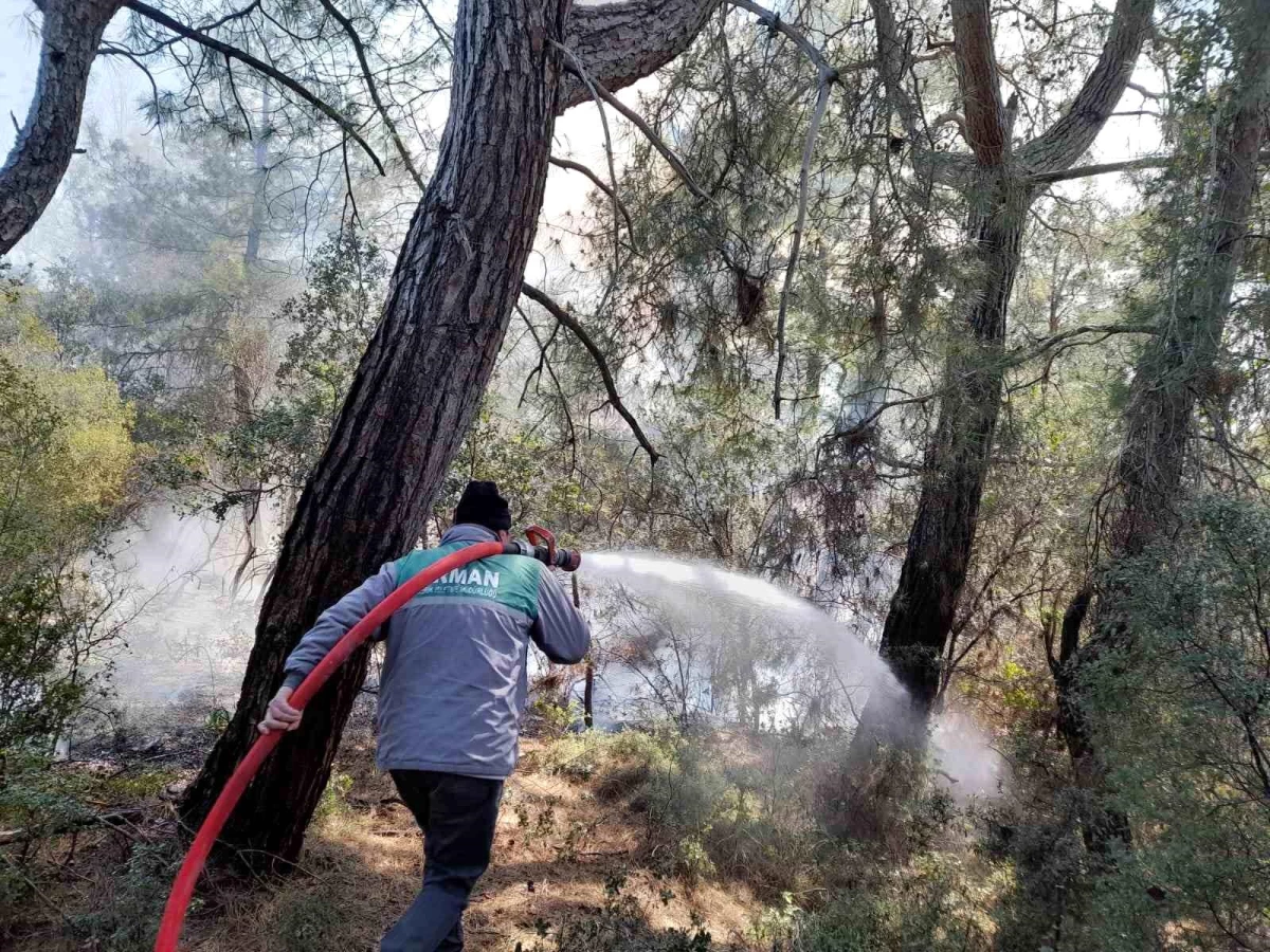 Antalya\'daki orman yangını 2 saatte kontrol altına alındı