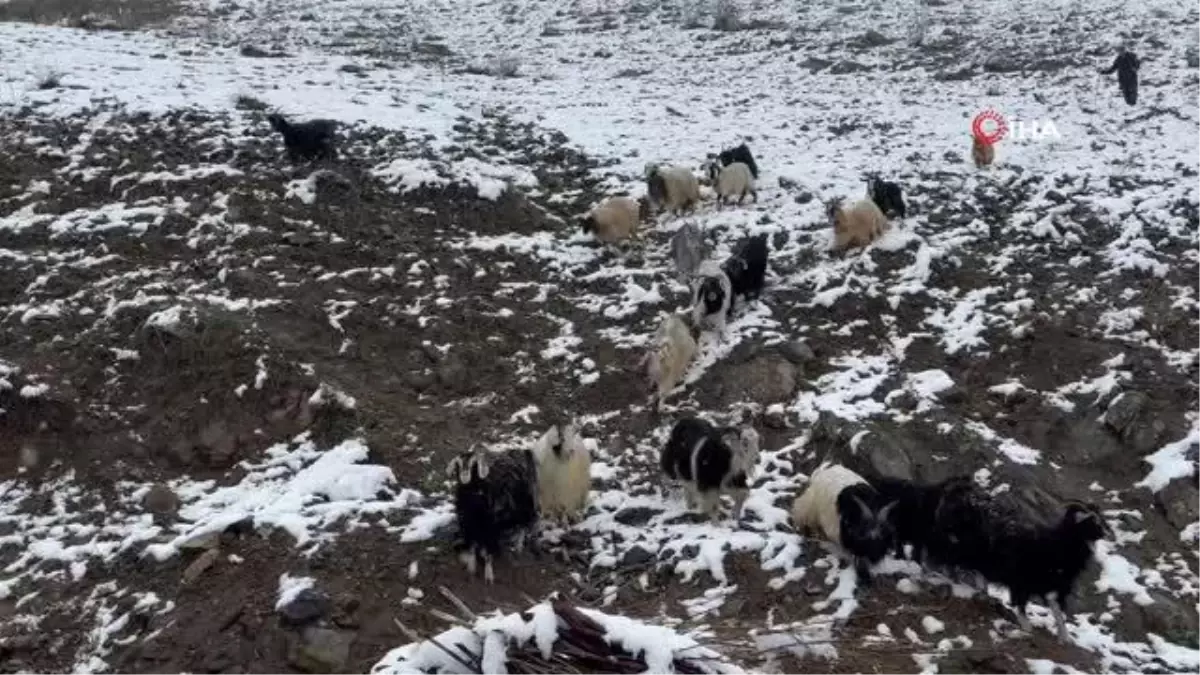 Çatak\'ta kar yağışı