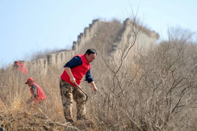 Çinli Köylülerden Oluşan Gönüllü Ekibi Çin Seddi'nin Bakımını Sağlıyor