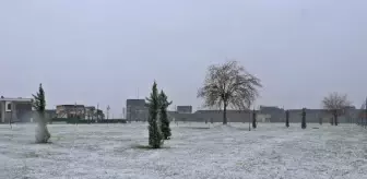 Diyarbakır'da kar yağışı etkili oldu (2)