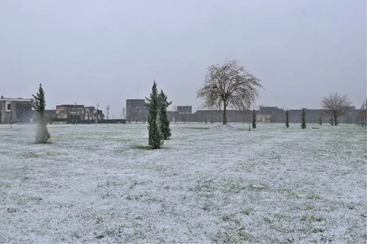 Diyarbakır\'da kar yağışı etkili oldu (2)