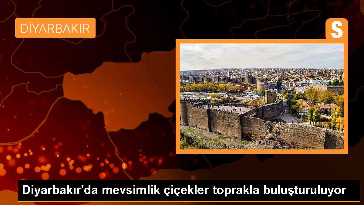 Diyarbakır\'da mevsimlik çiçekler toprakla buluşturuluyor