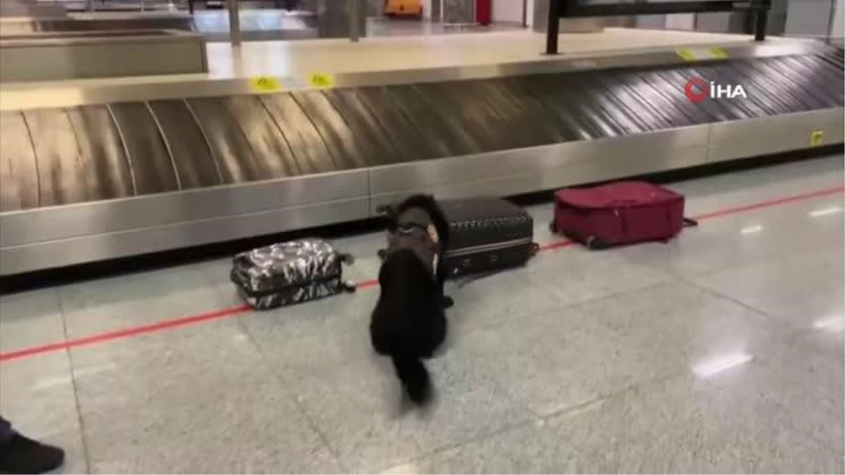 İzmir havalimanında valiz içerisinden "zehir" çıktı