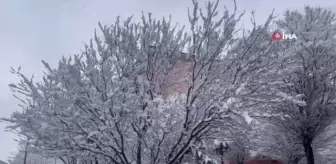 Muradiye beyaza büründü