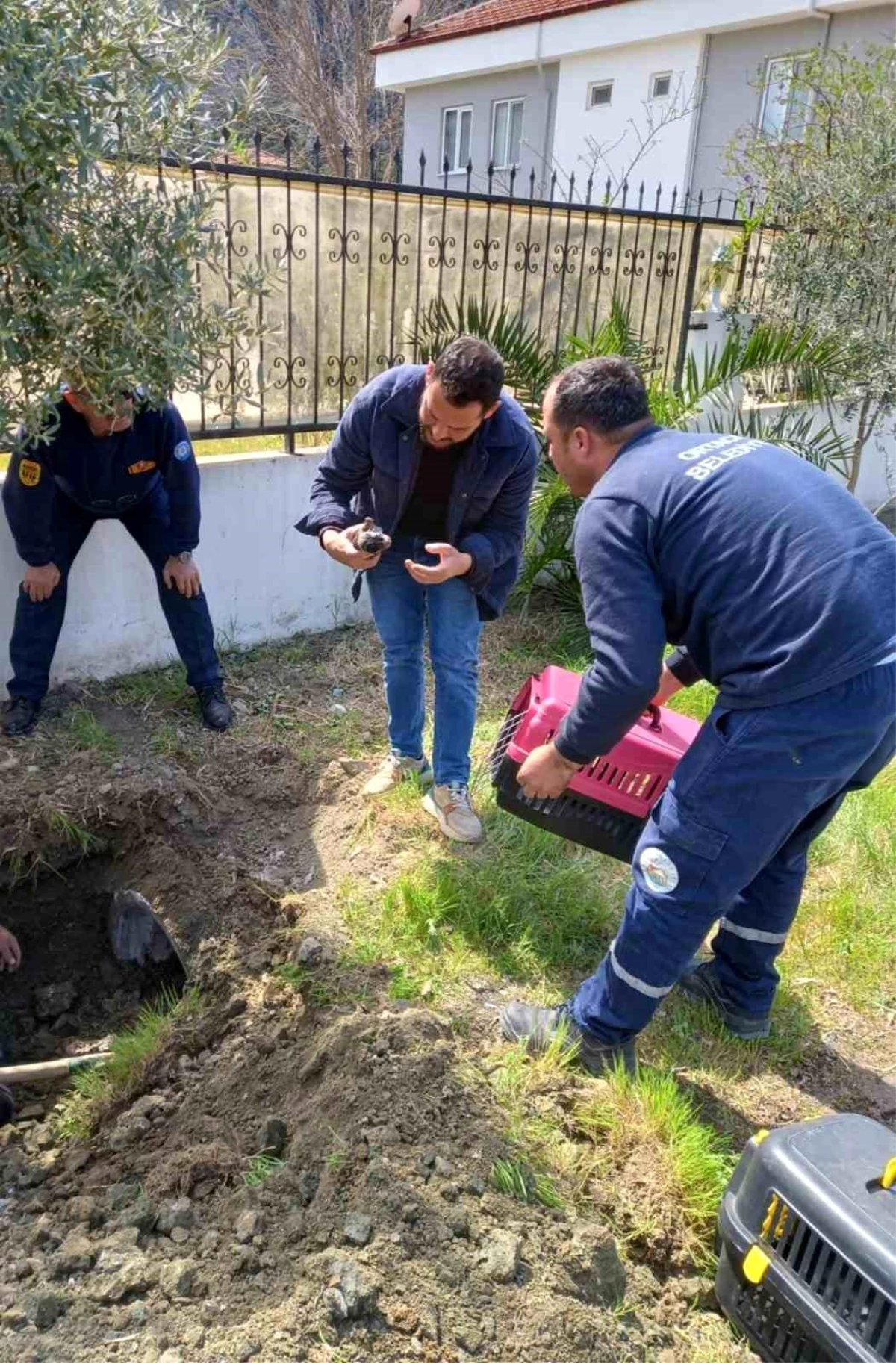 Anne köpek ve yavruları kurtarıldı