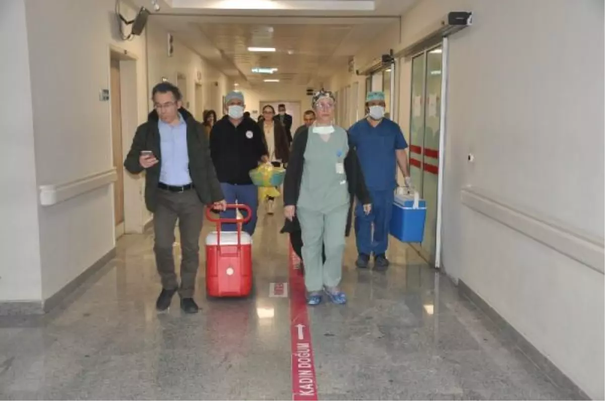 ARİFE\'NİN ORGANLARI 4 KİŞİYE UMUT OLDU