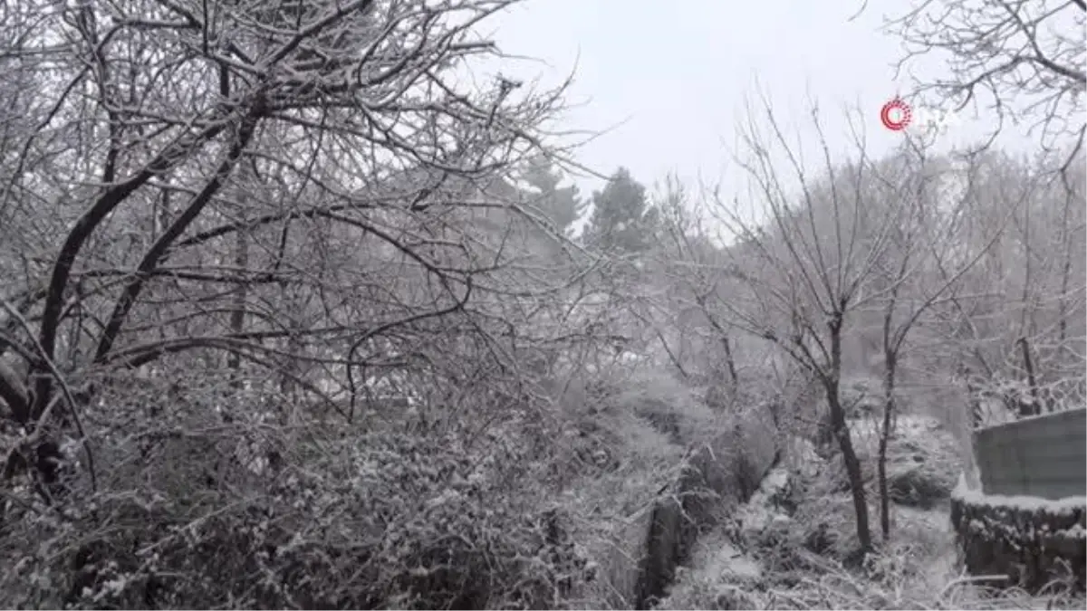 Batman\'da etkili olan kar yağışı köy ve mezra yollarını ulaşıma kapattı