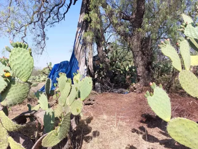 Meksika'da balon kazası: 2 ölü, 3 yaralı