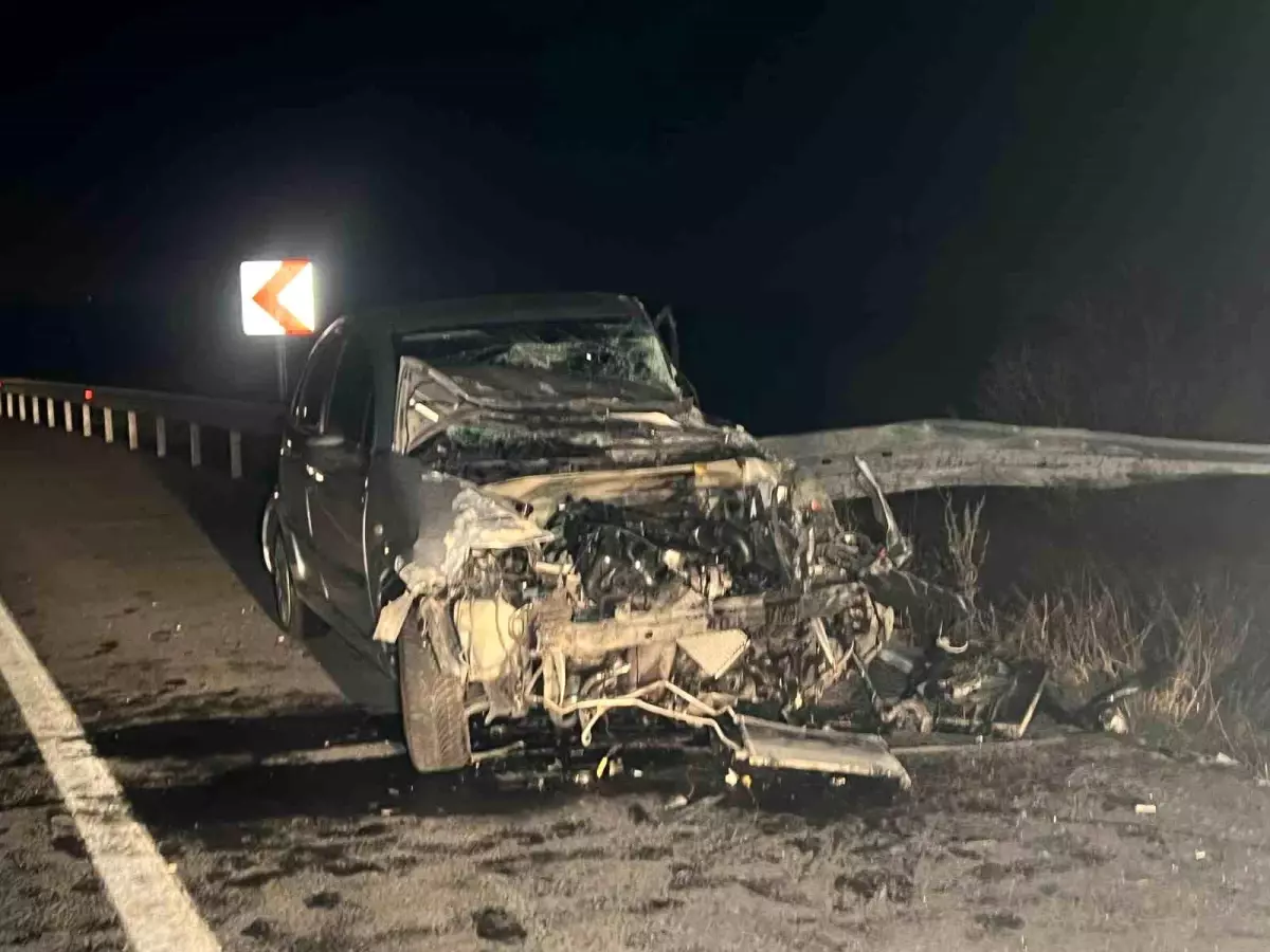 Nevşehir\'de başıboş köpek kazaya neden oldu: 1 yaralı