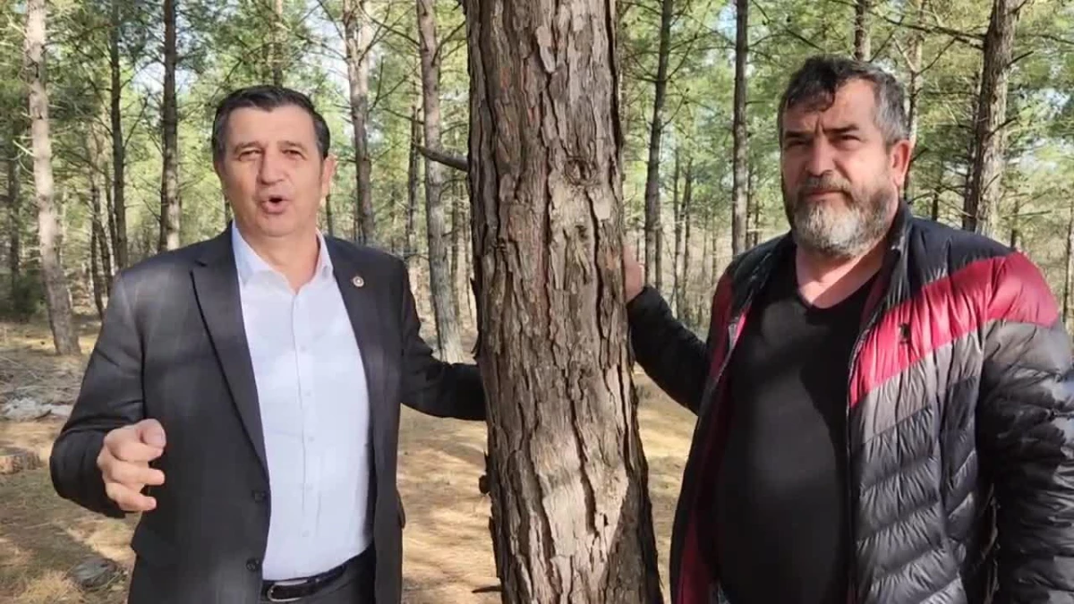 Okan Gaytancıoğlu: Edirne\'de Söğütlük Kent Ormanı\'na Millet Projesi Yargı Kararıyla Durduruldu. Hukukun Üstünlüğü ve Halk Galip Geldi