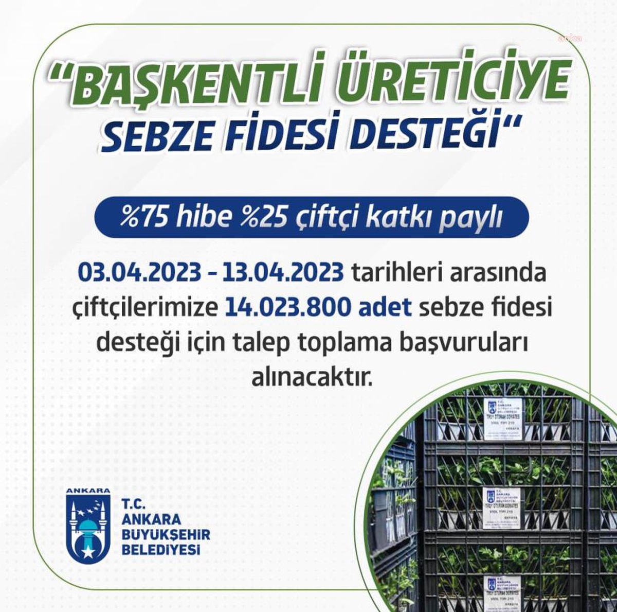 ABB başkentli çiftçilere bu yıl da hibe destekli sebze fidesi veriyor