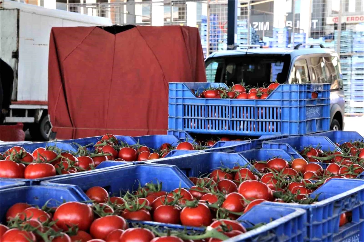 Antalya\'da halinde domatesin miktarı arttı, fiyatı düştü