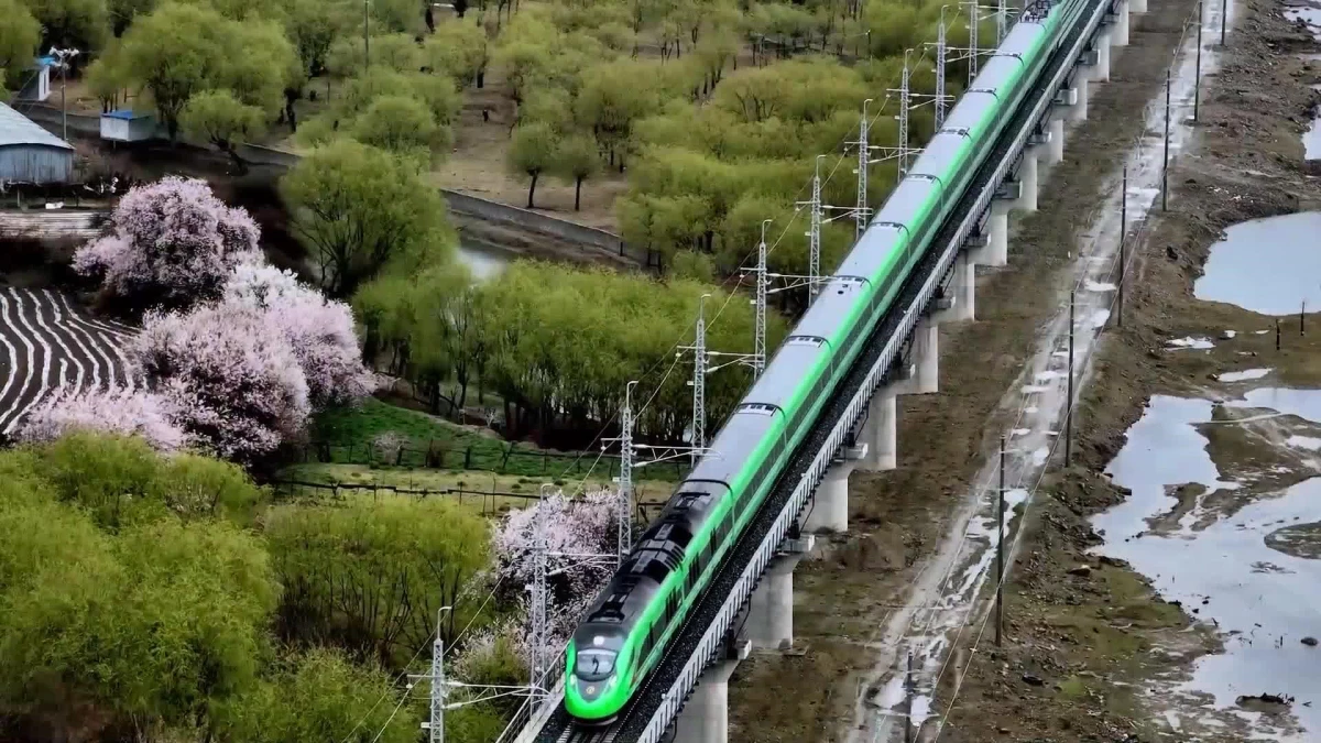 Çin\'in Tibet Bölgesinde Yüksek Hızlı Trenin Rotası Bahar Renklerine Büründü
