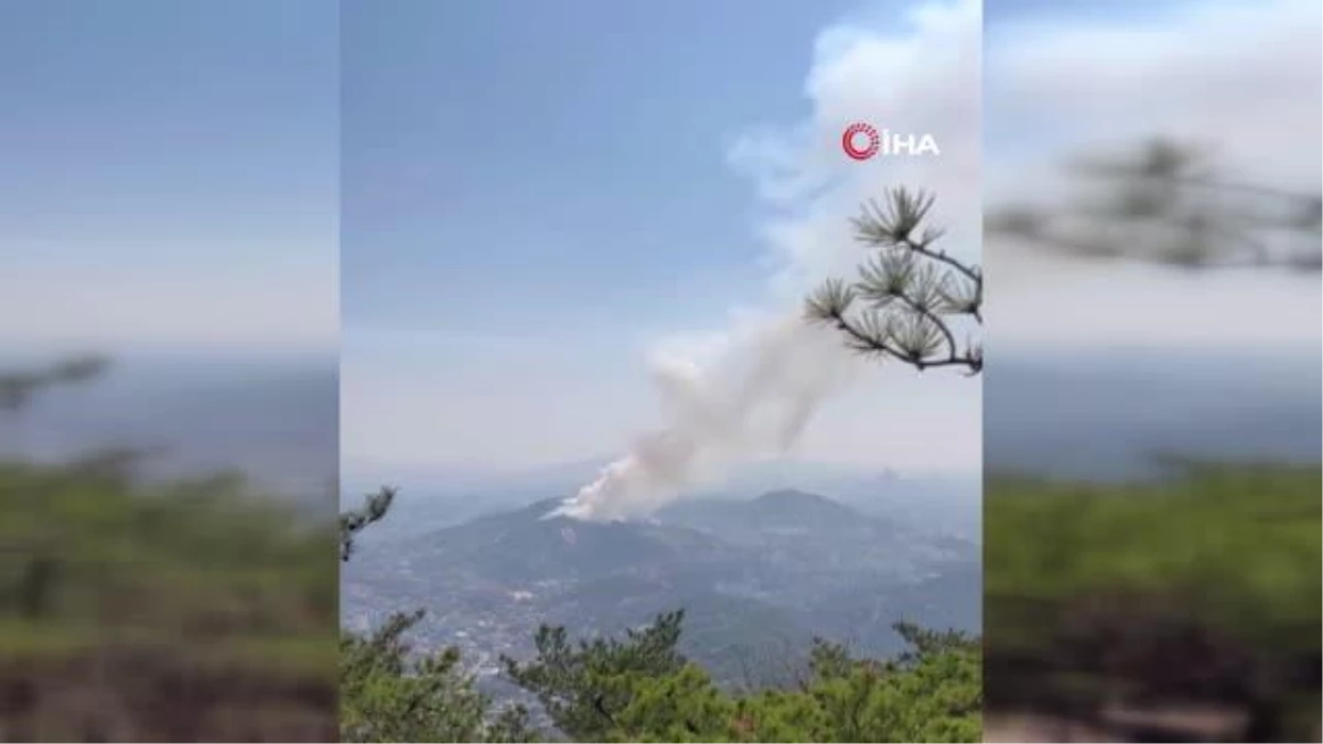 Güney Kore\'nin başkentinde orman yangını: 120 ev tahliye edildi