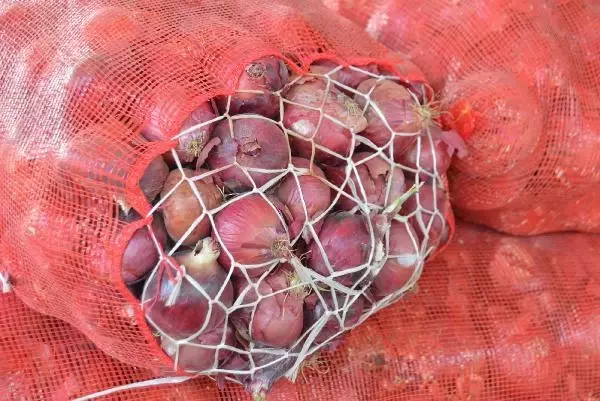 Marketlerde 25 TL'ye satılan soğan tarlada 17-18 liradan alıcı buluyor