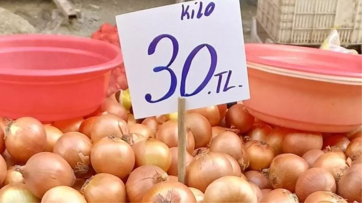 Market fiyatı 30 TL! Soğanın maliyeti tarlada da cep yakıyor