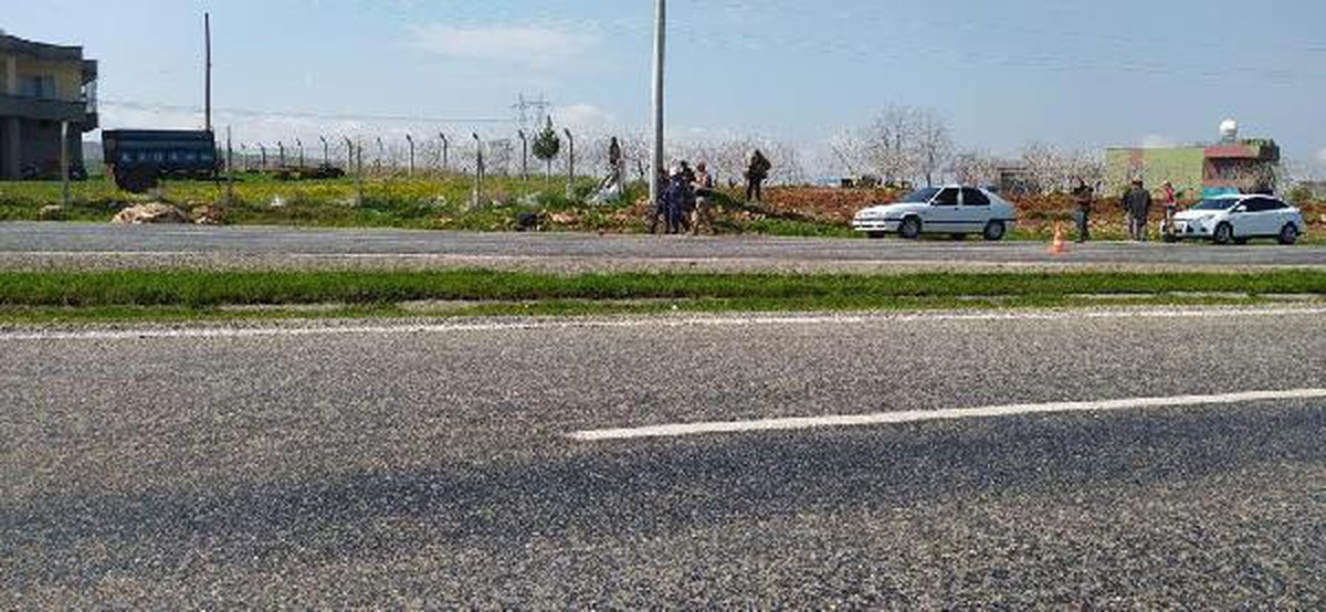 Siirt\'te ineğe çarpan otomobilin sürücüsü yaralandı