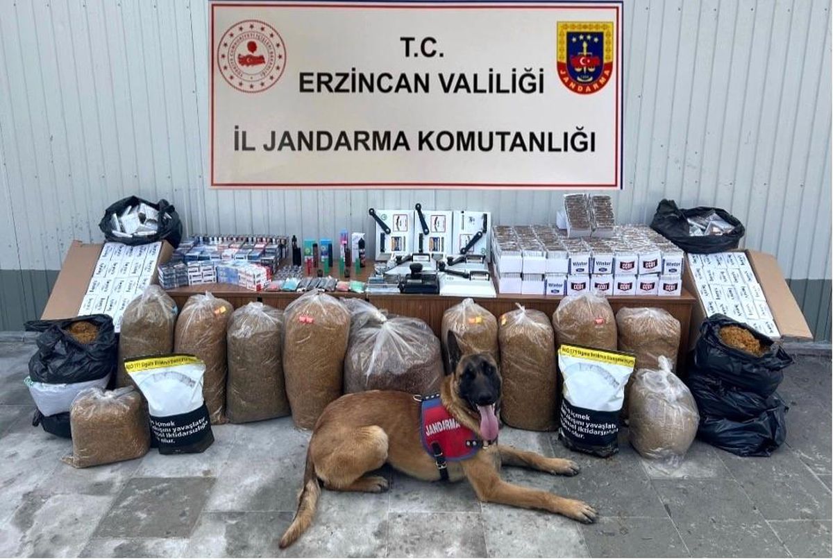 Erzincan\'da jandarma ekipleri kaçakçılık olaylarına geçit vermiyor