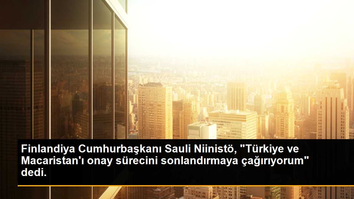 Finlandiya Cumhurbaşkanı Sauli Niinistö, "Türkiye ve Macaristan\'ı onay sürecini sonlandırmaya çağırıyorum" dedi.