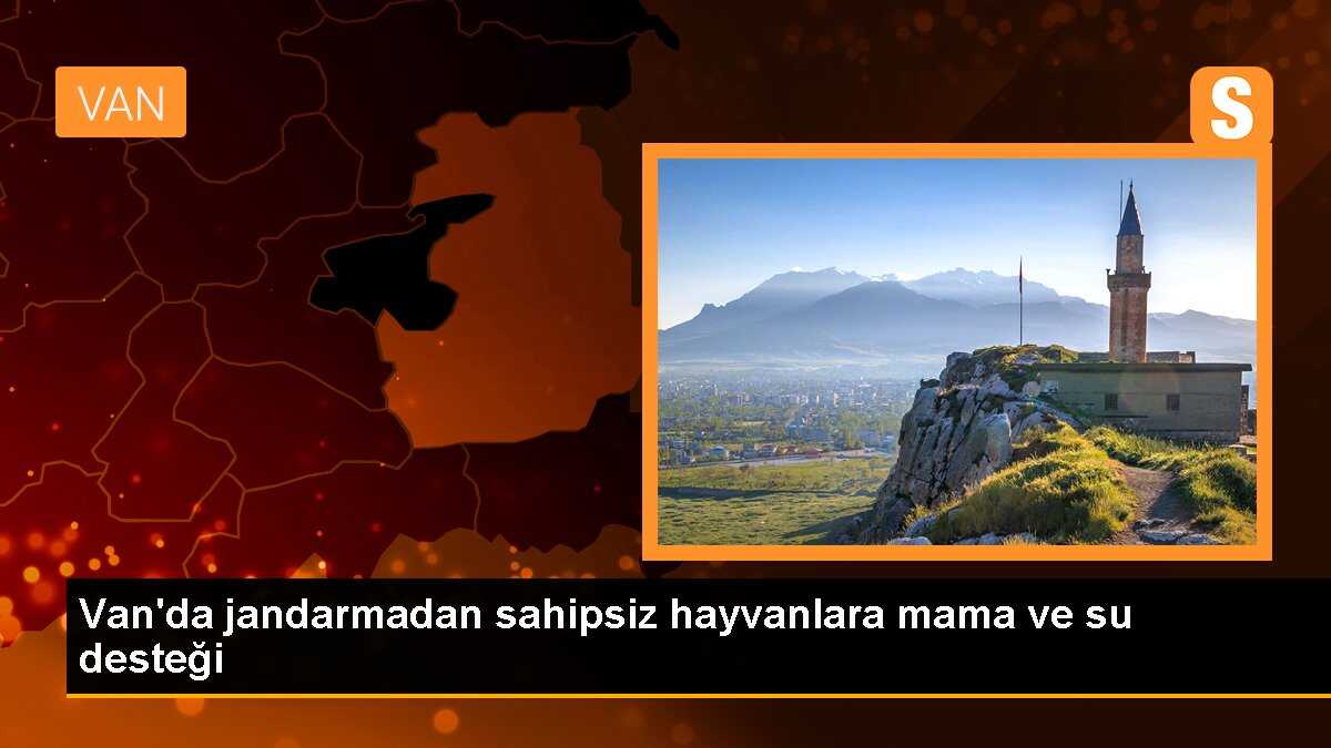 Van\'da jandarmadan sahipsiz hayvanlara mama ve su desteği