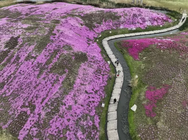 Çin'de Halk Qingming Festivali'nde Turistik Bölgeleri Ziyaret Etti