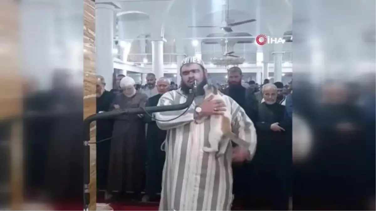 Teravih namazında imamın üzerine kedi tırmandı