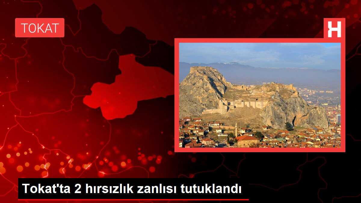 Tokat'ta 2 hırsızlık zanlısı tutuklandı