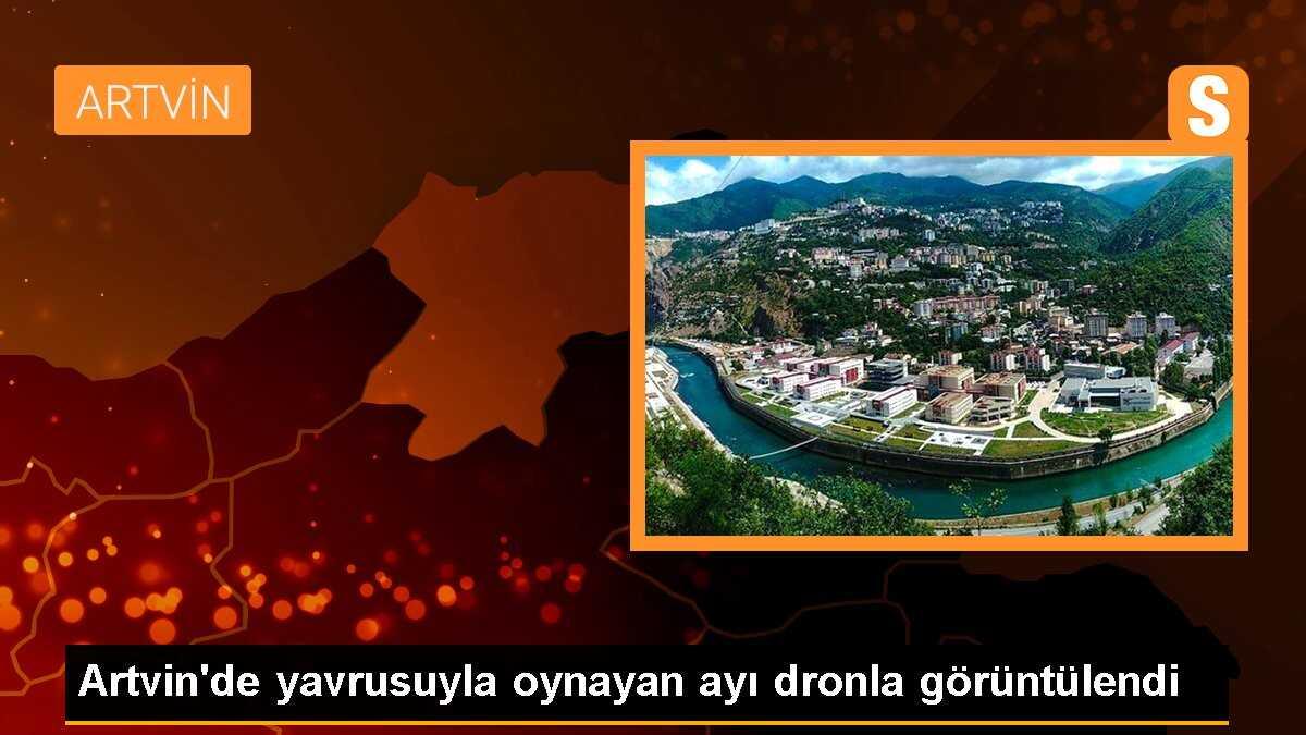 Artvin\'de yavrusuyla oynayan ayı dronla görüntülendi