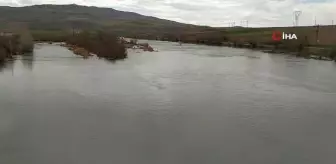 Geçen sene yürüyerek geçilebilen Kızılırmak bu sene adeta coştu