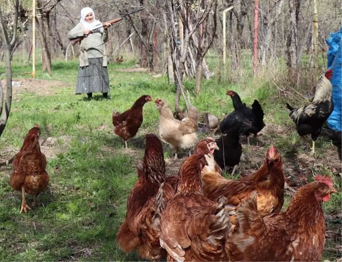 GÜLİSTAN HANIM\'IN \'ÇAKAL\' NÖBETİ