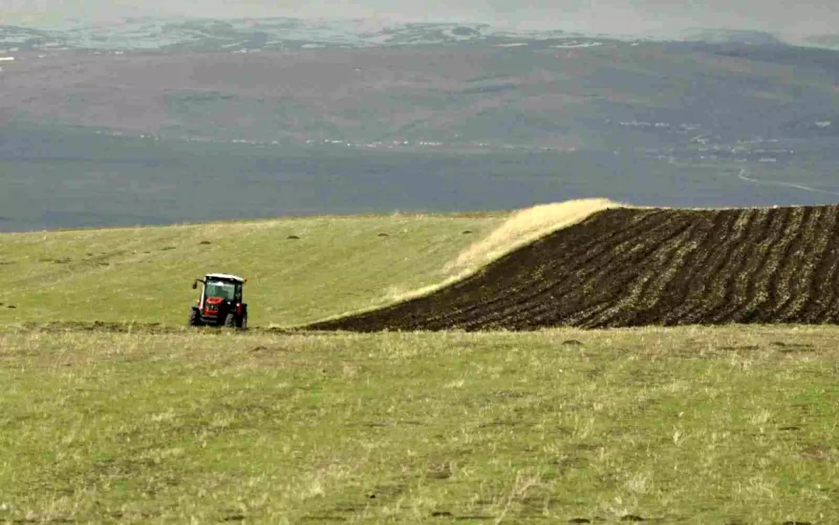 Kars\'ta tarlalar sürülüyor