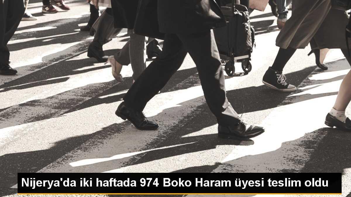 Nijerya\'da iki haftada 974 Boko Haram üyesi teslim oldu