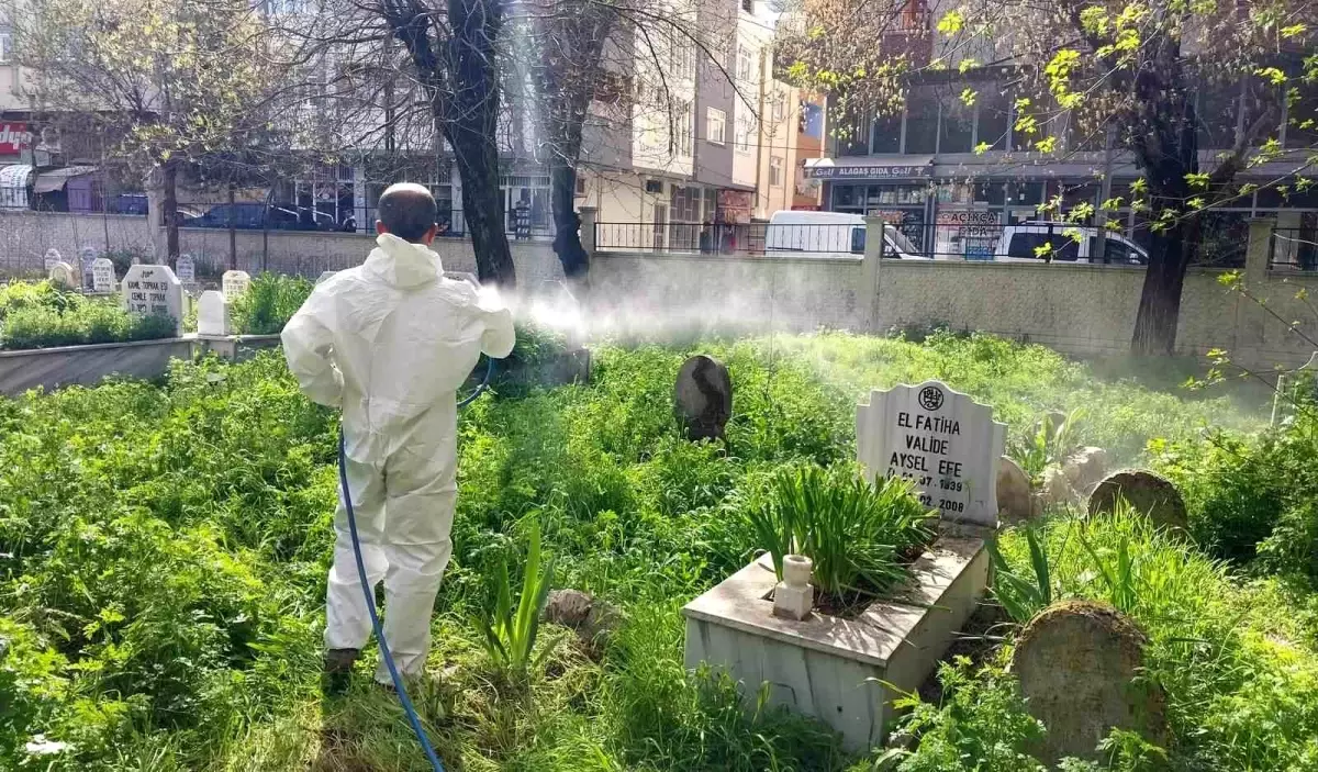 Siirt\'te mezarlıklarda yabani otlara karşı ilaçlama çalışması başlatıldı