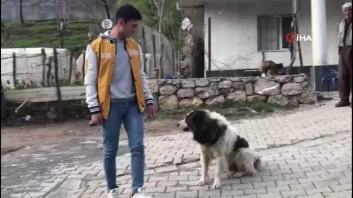 Vefalı köpek askerden dönen sahibinin yanından ayrılmadı