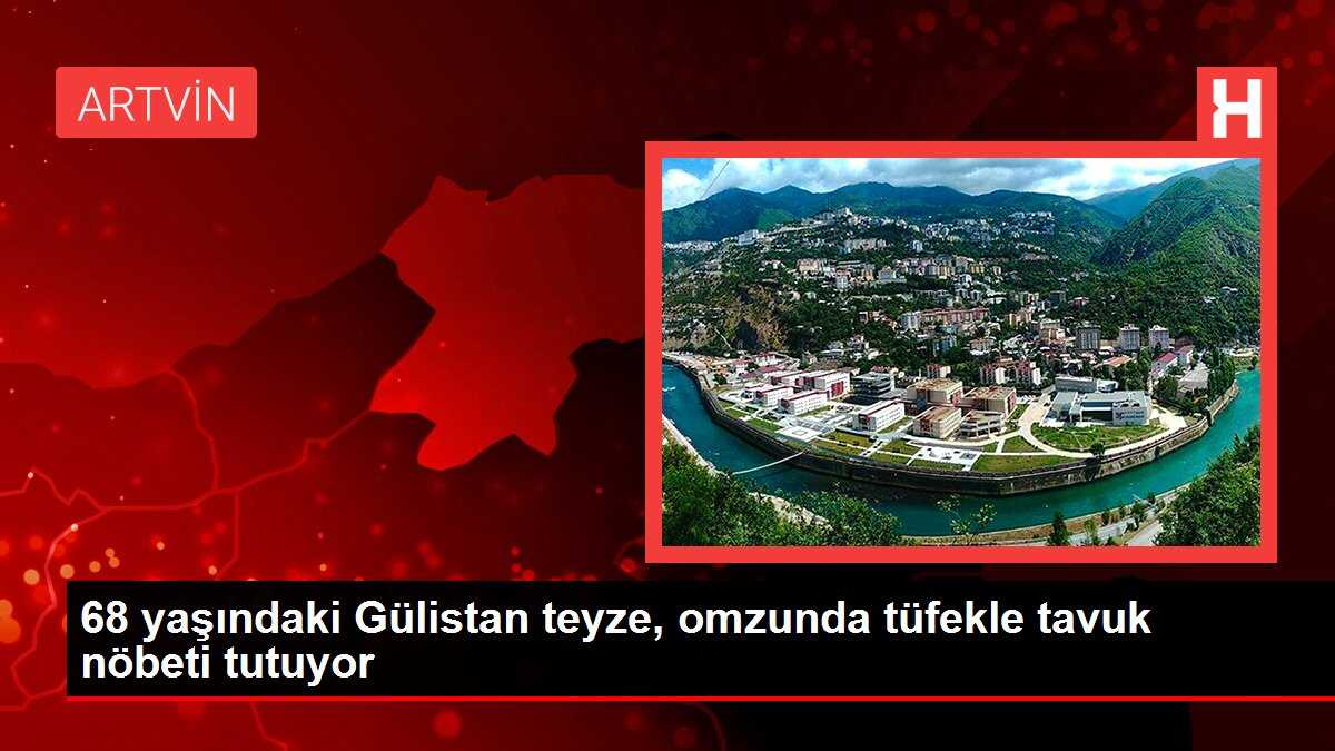 68 yaşındaki Gülistan teyze, omzunda tüfekle tavuk nöbeti tutuyor