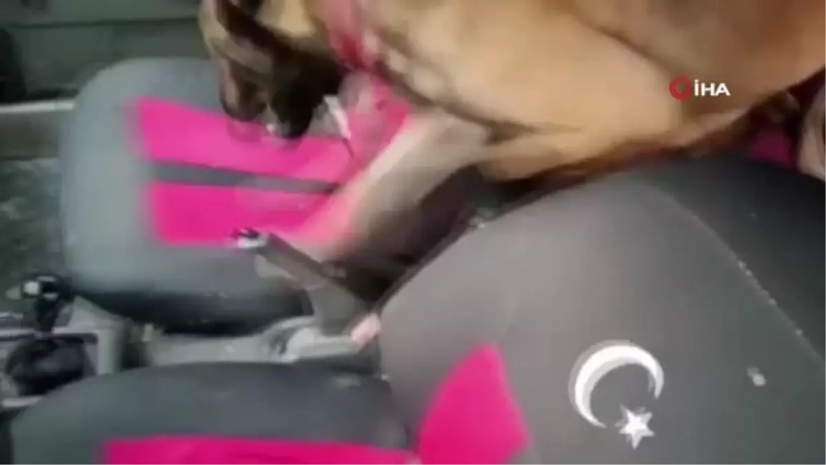 Saksıda uyuşturucu narkotik köpeğine yakalandı