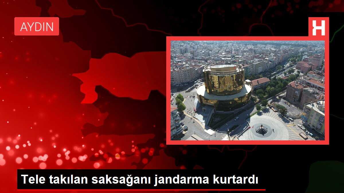 Tele takılan saksağanı jandarma kurtardı